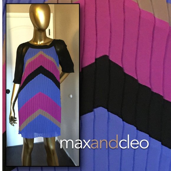 Max & Cleo Dresses & Skirts - MAXandCLEO Pleated Chevron Print Dress XXS
